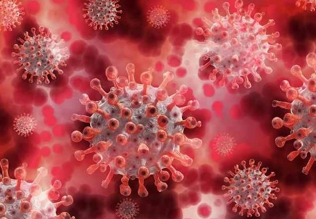 CoronaVirus India update : कोरोना संक्रमण के 8,503 नए मामले, 24 घंटों में 624 लोगों की मौत