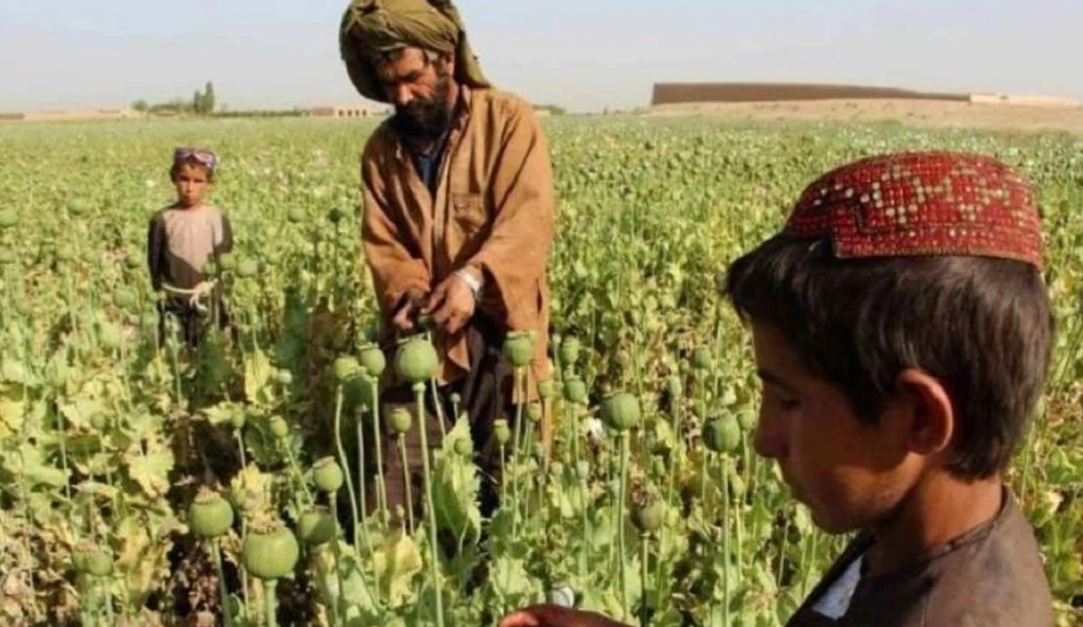Life in time of corona: पैसे कमाने के लिए अफगानी बच्चे कर रहे यह काम! - Afghanistan