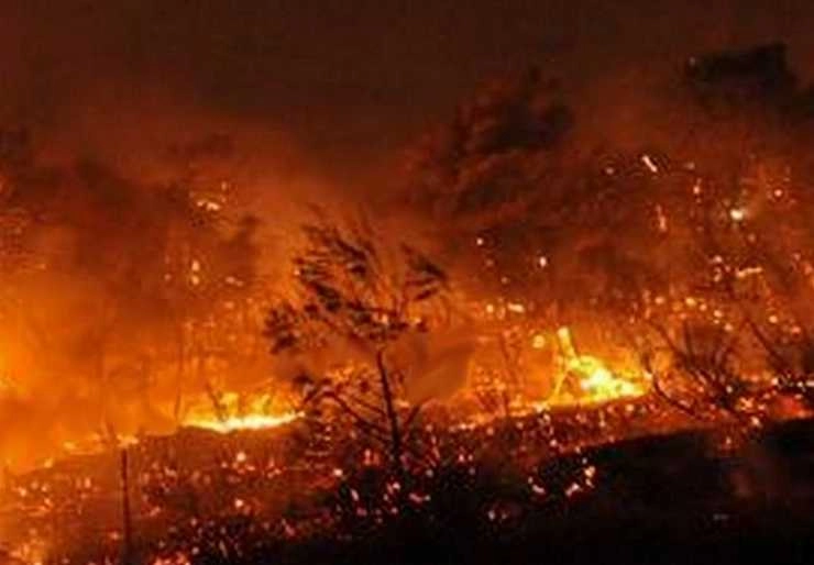 ग्रीस : जंगलों में लगी भीषण आग ने मचाई तबाही - A fierce fire in the forests in Greece caused devastation