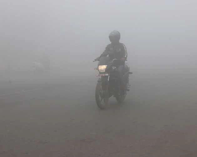 उत्तर भारत में ठंड का कहर, दिल्ली घने कोहरे की चपेट में - weather update : cold in North India