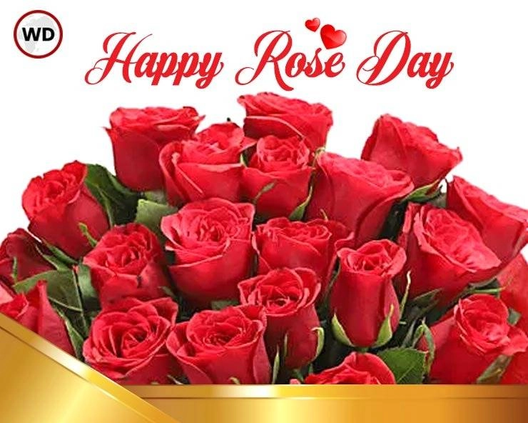 February 7 Rose Day પર ગુલાબ આપતા પહેલા જાણી લો દરેક રંગ કઈક બોલે છે