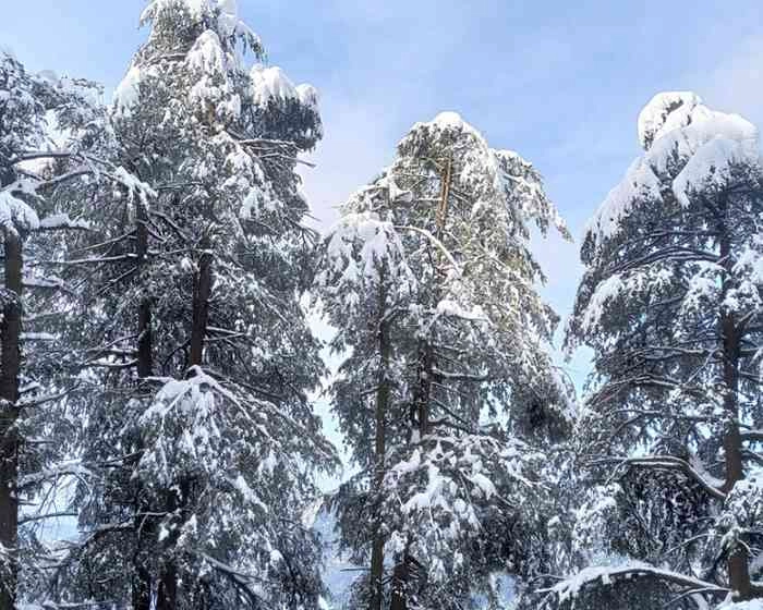Weather Update : पहाड़ों राज्यों में बर्फबारी ने बढ़ाई ठंडक, तमिलनाडु में भारी बारिश - Snowfall increased coolness in mountain states, heavy rain in Tamil Nadu