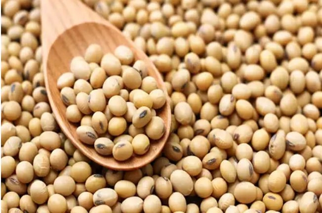 Health: सोयाबीन खाने के 5 फायदे आपको कर देंगे हैरान - benefits of soya bean