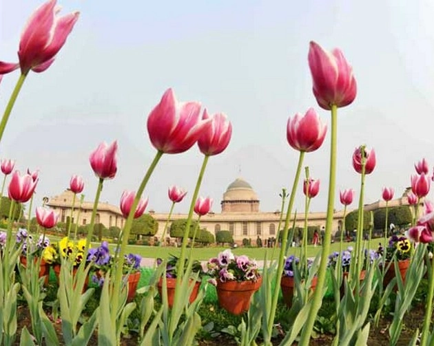 मुगल गार्डन 13 फरवरी से आम लोगों के लिए खुलेगा, पहले करानी होगी ऑनलाइन बुकिंग