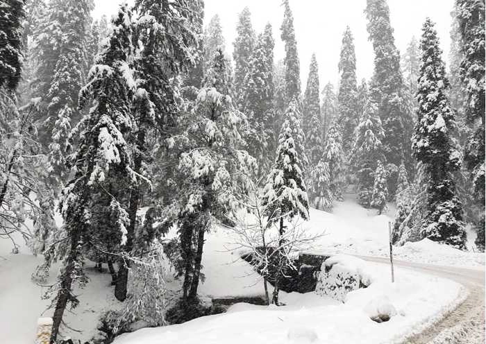 IMD: उत्तर भारत में बदलेगा मौसम, होगी बर्फबारी व झमाझम बारिश, लौटेगी ठंड - Snowfall and thunderstorms will change in North India