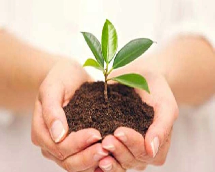 ज्योतिष और पर्यावरण : एक पौधा लगाने से भी मिलता है पुण्य, जानिए 13 खास बातें