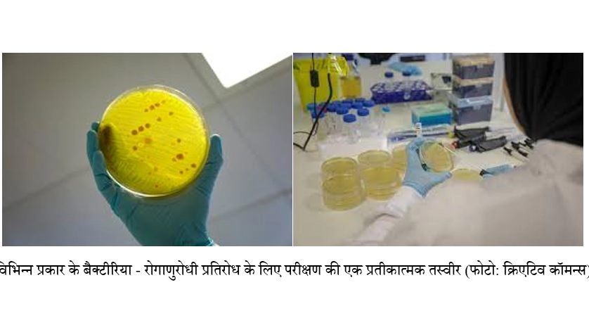 दवाओं के प्रति रोगजनक सूक्ष्मजीवों का बढ़ता प्रतिरोध - Antimicrobial Resistance Diagnostic Projects