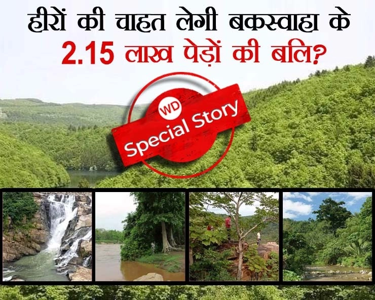 बकस्वाहा के 2.15 लाख पेड़ों की बलि लेगी हीरों की चाहत,बचाने के लिए बॉलीवुड अभिनेता भी सरकार से लगा रहे गुहार - Big movement will start to save the forest of Bakswaha