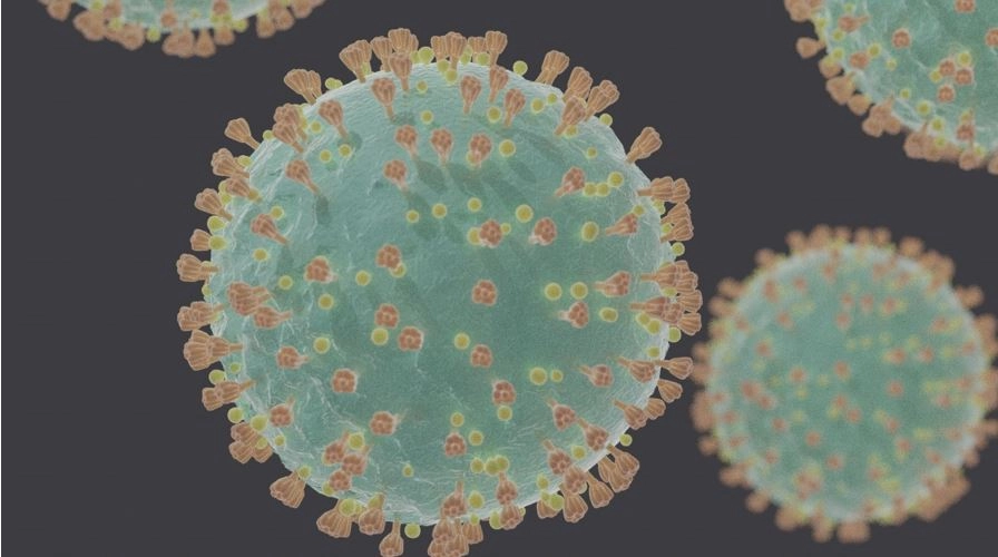 गोवा में ब्रिटेन से आया 8 साल का बच्चा ओमिक्रॉन संक्रमित - coronavirus omicron live update