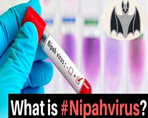 Health Tips : क्या है निपाह वायरस? जानिए लक्षण और उपचार - what is nipah virus its symptoms and treatment