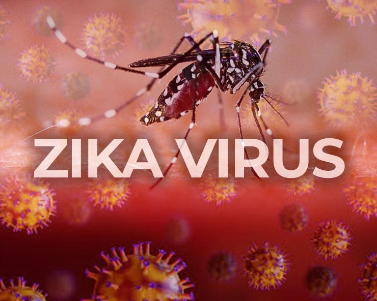 Corona के बीच Zika Virus का खतरा, कोरोना में डॉक्टर सहित 3 संक्रमित, 22 पर पहुंचीं संख्‍या