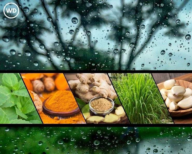 Food Allergy : बारिश में हो सकती है फूड एलर्जी, अच्छी सेहत के लिए इसे जरूर पढ़ें - Food Allergy in Rainy Season