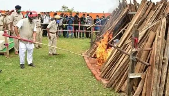असम के CM सरमा ने जलाई 163 करोड़ की अवैध ड्रग्स, कहा, ‘ड्रग्स का व्यापार महामारी है’ - Assam CM Sarma burnt illegal drugs worth Rs 163 crore
