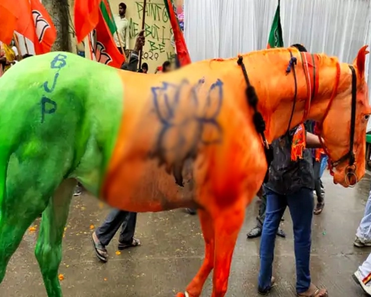 सिंधिया की आशीर्वाद यात्रा में शा‍मिल घोड़े को भाजपा के झंडे के रंग में रंगा, थाने में शिकायत