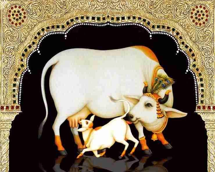 Swapna Shastra:स्वप्नात गाय दिसणे हे देव पाहण्याइतकेच शुभ, जाणून घ्या फायदे