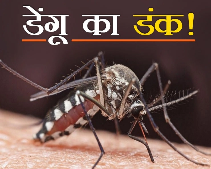 भोपाल, इंदौर समेत 7 जिलों में डेंगू पर विशेष अलर्ट, मरीजों के लिए अस्पतालों में बनेंगे आइसोलेशन वार्ड - Special alert on dengue in 7 districts including Bhopal, Indore