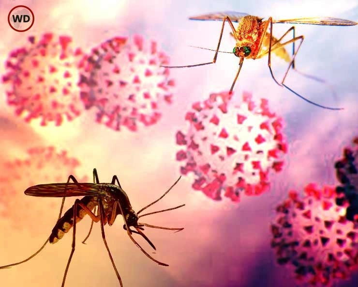 डेंगू संक्रमण के मामलों में उछाल, सार्वजनिक स्वास्थ्य के लिए बड़ी चिन्ता