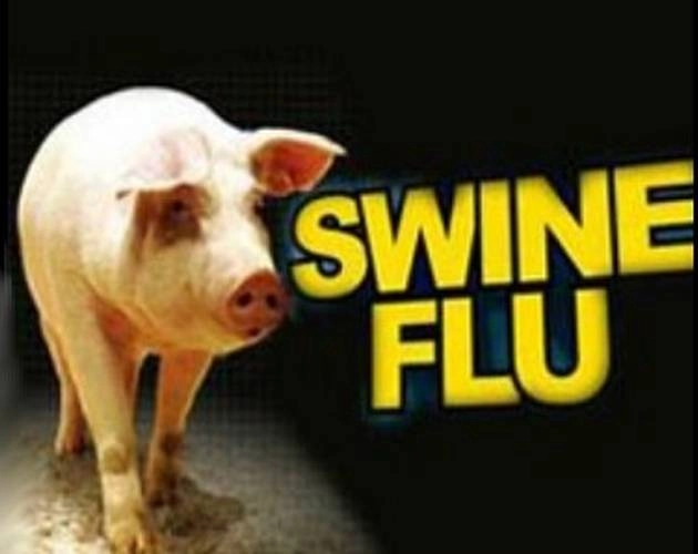 चीन के बाद ब्रिटेन में नई बीमारी, स्वाइन फ्लू के वायरस से दहशत - threat of new virus in britain