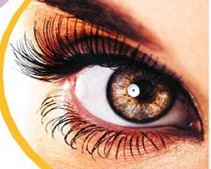विश्व दृष्टि दिवस पर जानिए आंखों के बारे में 20 रोचक तथ्य