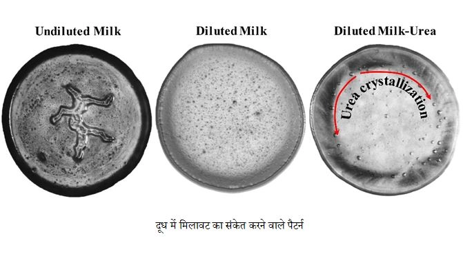 शोधकर्ताओं ने विकसित की दूध में मिलावट का पता लगाने की नई पद्धति - Evaporation, Adulteration, Milk