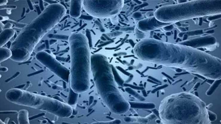 बैक्टीरिया से होने वाली लाखों मौतों को रोकने की तकनीक का सफल परीक्षण