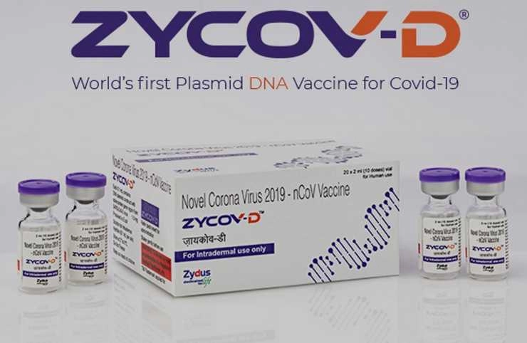 Zydus Cadila Corona Vaccine: सिर्फ वयस्कों को ही लगेगी जायडस कैडिला वैक्सीन, 12 से 18 साल वालों को करना होगा इंतजार - Zydus Cadila's vaccine will be available only to adults