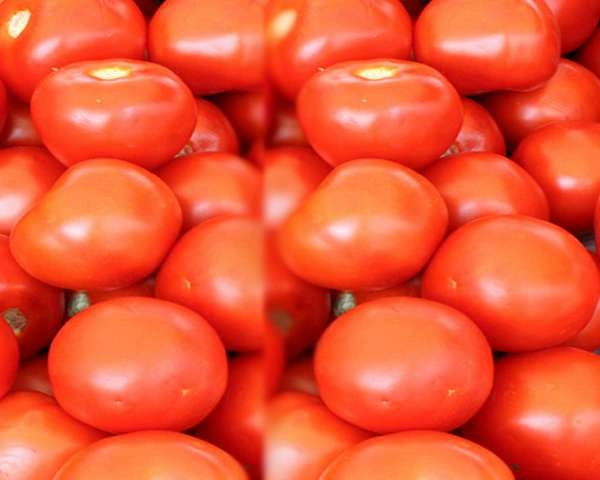 खुशखबरी! यूपी में टमाटर 50 रुपए किलो, नेपाल से आ रही है बड़ी खेप - Tomatoes in UP at Rs 50 kg, large consignment is coming from Nepal