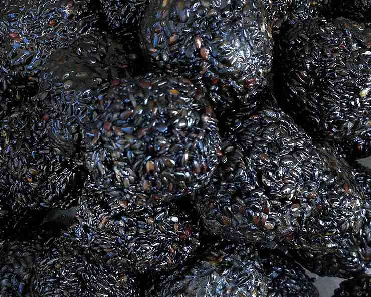 Benefits of Black Sesame : जानें काले तिल के फायदे, जो स्वास्थ्य के लिए है लाभदायक