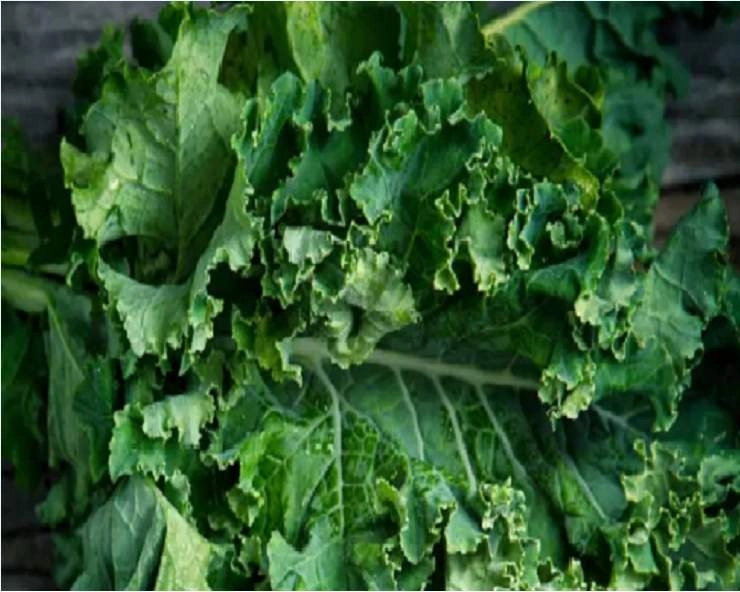 Health Benefits Of Kale : सुपरफूड केल के 5 जबरदस्‍त फायदे, आज से ही अपनी डाइट में करें शामिल
