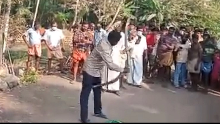 250 बार सांप ने काटा, 226 किंग कोबरा को किया रेस्क्यू, केरल का स्नेकमैन अब लड़ रहा जिंदगी और मौत के बीच जंग - Keralas famous snake rescuer battling for life after cobra bite