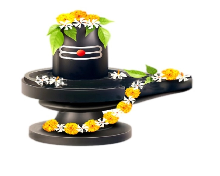 सावन माह में शिवजी को जरूर अर्पित करें ये 8 फूल, भोले बाबा होंगे प्रसन्न - Lord Shiva favorite flower names
