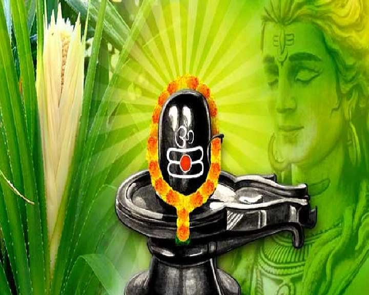 mahashivratri 2022 : महाशिवरात्रि पर ये 20 फूल न चढ़ाएं भोलेशंकर को, शिव जी होंगे नाखुश - Which flowers are not offered to Lord Shiva