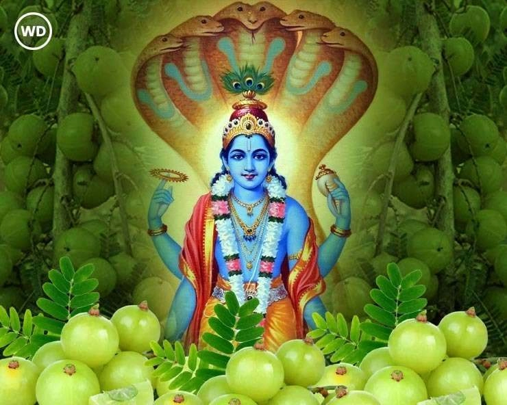 आमलकी एकादशी व्रत की पूजा विधि - Amalaki Ekadashi Puja Vidhi