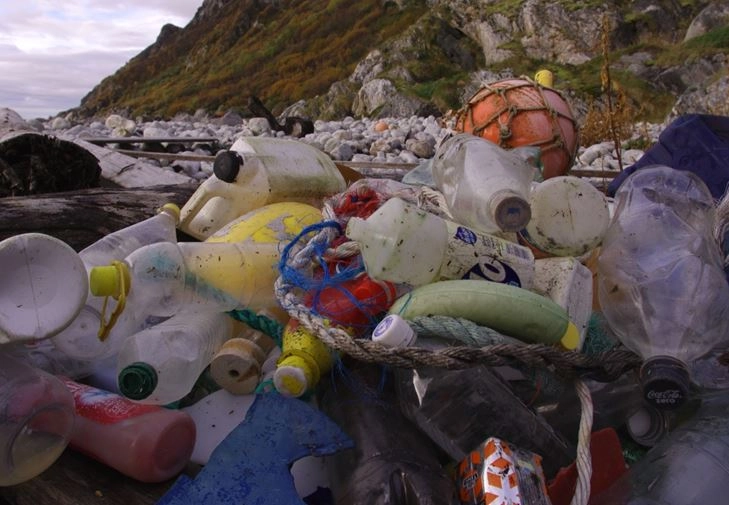 समुद्री कचरे में 50 प्रतिशत एकल उपयोग प्लास्टिक