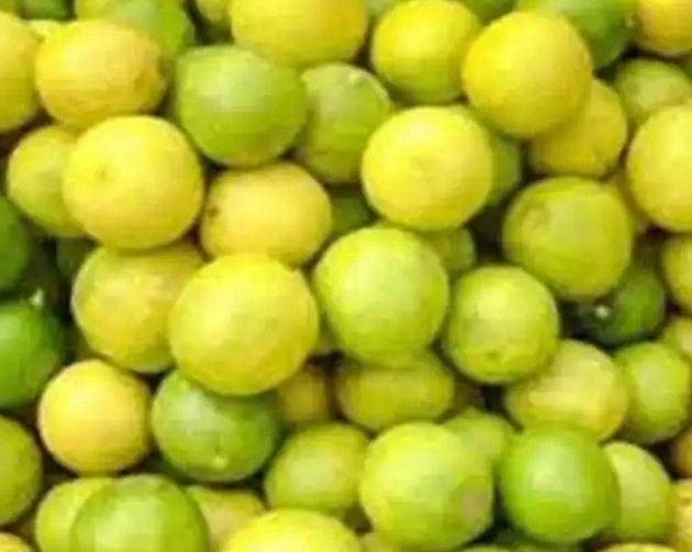 कानपुर में लुटेरों ने लूटे 15 हजार नींबू, बाग की रखवाली में लगे लठैत - Robbers looted 15 thousand lemons in Kanpur
