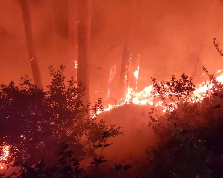 राजस्थान : सज्जनगढ़ की पहाड़ियों पर भड़की आग, बुझाने में जुटे फायर ब्रिगेड के कर्मचारी