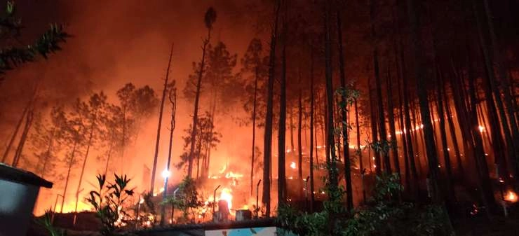 Uttarkashi में बीते एक सप्ताह से धधक रही जंगल की आग में आई कुछ कमी