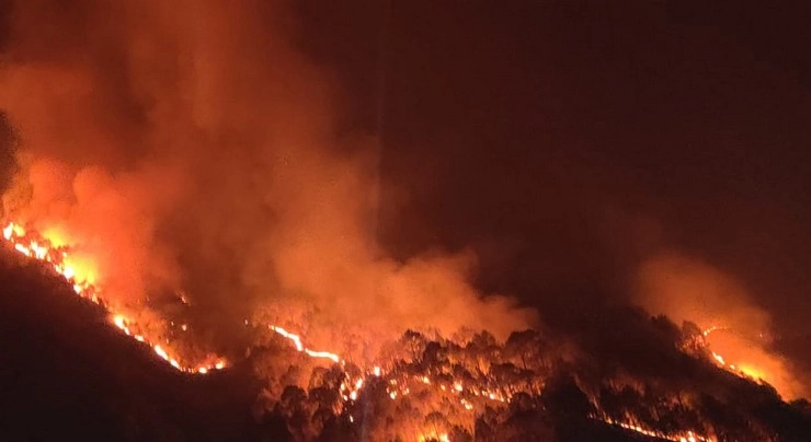 Uttarakhand Forest Fire : जंगल की आग में धधक रहा है उत्तराखंड, अब तक 1,844 घटनाएं, 3,000 हेक्टेयर क्षेत्र हुआ भस्म, मानव आबादी पर भी खतरा - forest fire in uttarakhand record incidents of fire in forests