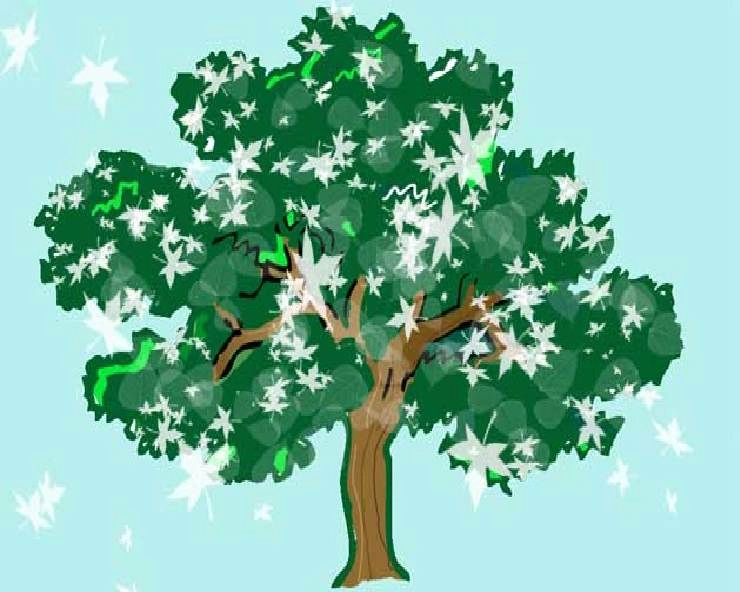 Vastu Tips : दुनिया के 10 दुर्लभ पेड़ और पौधे, जानिए कौन सा लगाएं घर में - World Rare trees and plants