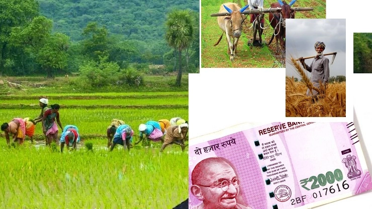 PM Kisan Samman Nidhi Yojana: शेतकऱ्यांच्या खात्यात येणार 2 हजार रुपये