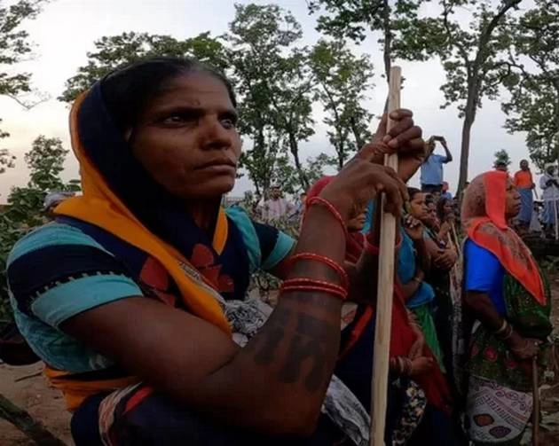 छत्तीसगढ़: कोयले के लिए काटे जा रहे पेड़, बचाने के लिए डटे आदिवासी - Chhatisgarh : trees are cutting for coal