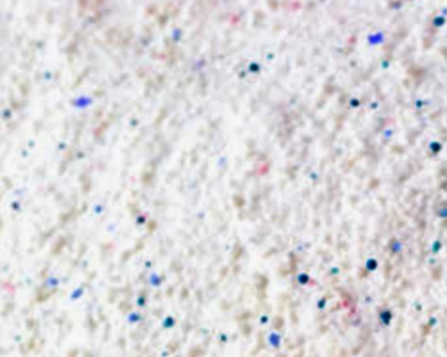 नकली वॉशिंग पाउडर बनाने वाली कंपनी का भंडाफोड़, 3 करोड़ रुपए का पाउडर बरामद - Fake washing powder manufacturing company busted