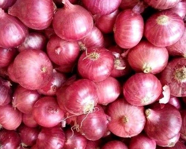 Mother Dairy के सफल केंद्र पर मिलेगा 25 रुपए में एक किलो प्याज - One kg onion will be available for Rs 25 at Mother Dairy's Safal center
