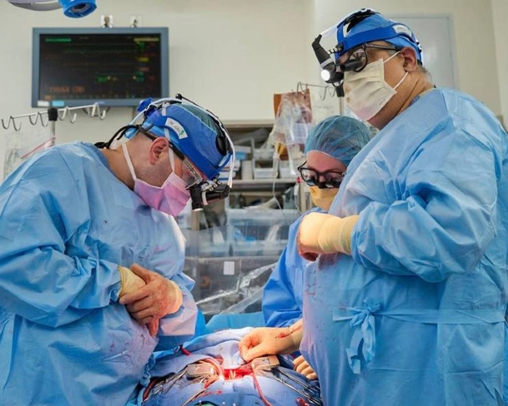 अमेरिका के वैज्ञानिकों बड़ी को मिली सफलता, ब्रेन डेड लोगों में लगाए गए सूअरों के दिल 3 दिनों तक सीने में धड़कते रहे two pig hearts transplants succeed in brain dead patients in america - two pig hearts transplants succeed in brain dead patients in america