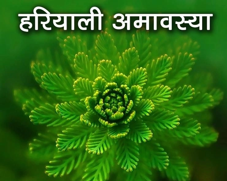 हरियाली अमावस्या के दिन 5 पौधे जरूर रोपें - Hariyali amavasya par paudha ropan
