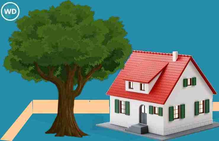 Vastu Tips : घर बनाने जा रहे हैं तो जानें कि कितना बड़ा या किस आकार का होना चाहिए - What should be shape of the house