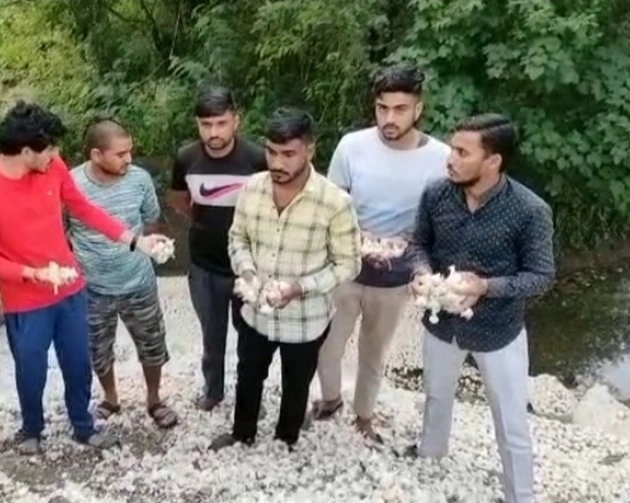 मंडी में 1 रुपए में बिक रहा था 20 रुपए किलो का लहसुन, भड़के किसान ने नाले में फेंका - farmer throws garlic in sewer