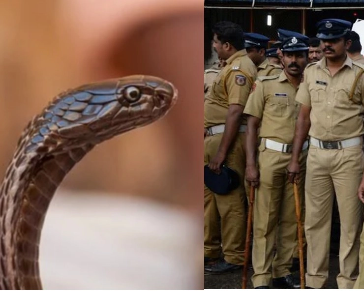 केरल के एक थाने की सुरक्षा में तैनात किए गए कई 'सांप', जानिए पुलिस वालों को किनसे चाहिए 'सुरक्षा'? - rubber snakes deployed in the security of this police station in kerala becase of monkeys
