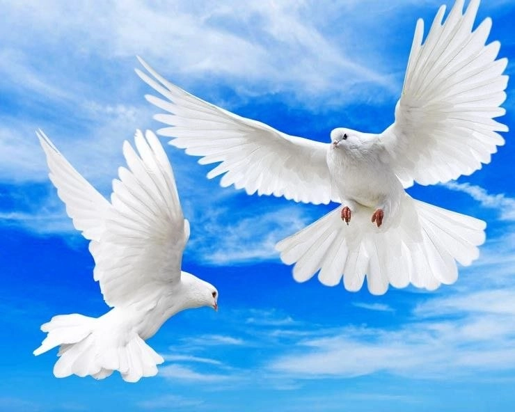 International Day of Peace कब है? क्यों मनाया जाता है?