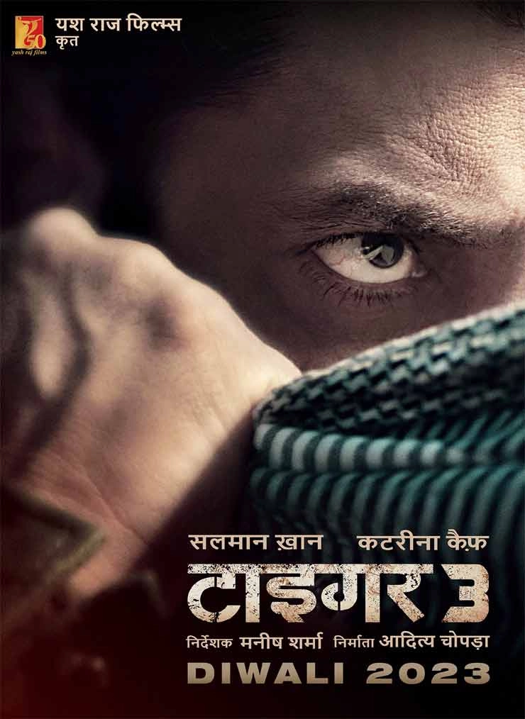 सलमान खान की फिल्म टाइगर 3 का हिंदी में आया नया पोस्टर